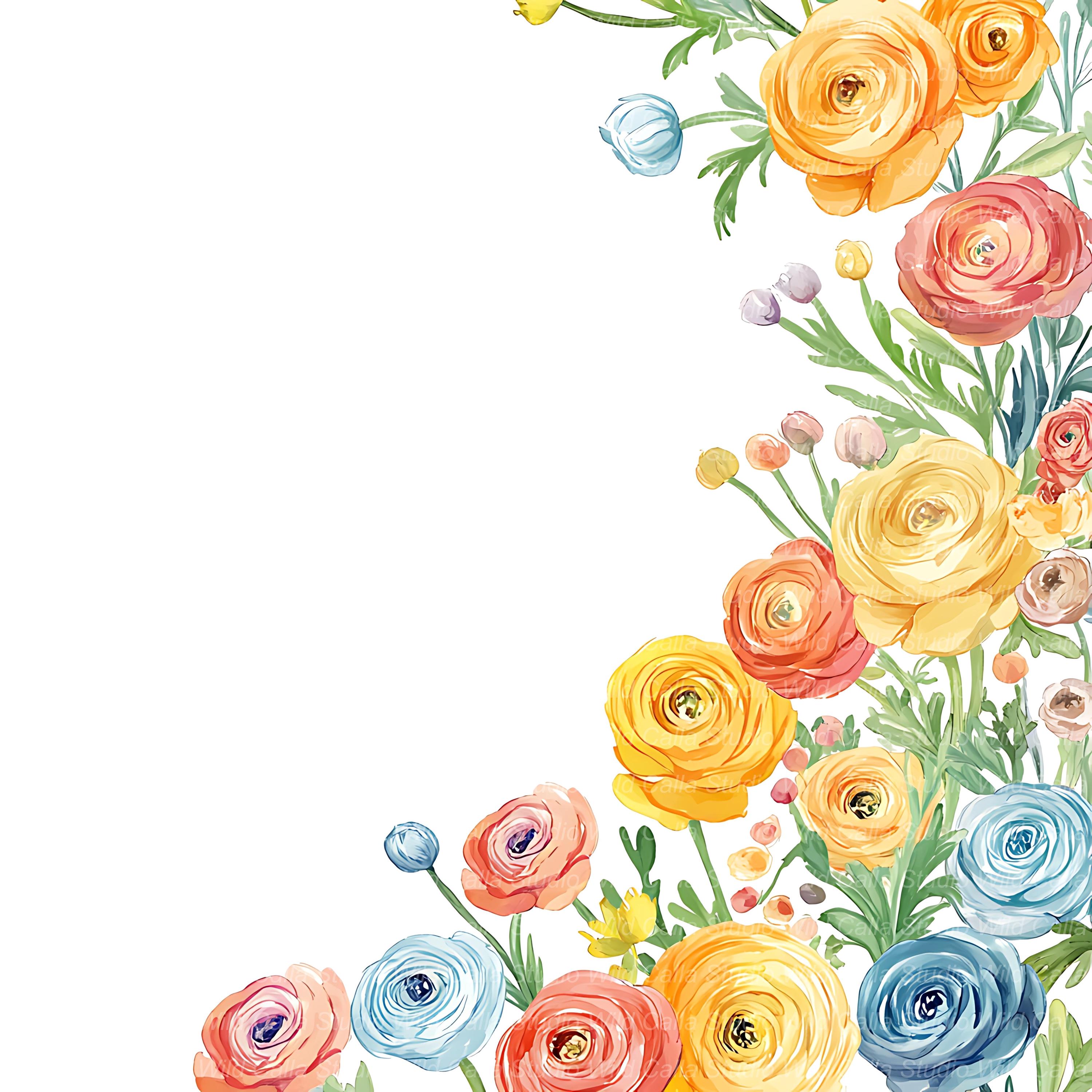 Spring Ranunculus Clipart Set - Pastel Wildflower Borders - Etsy