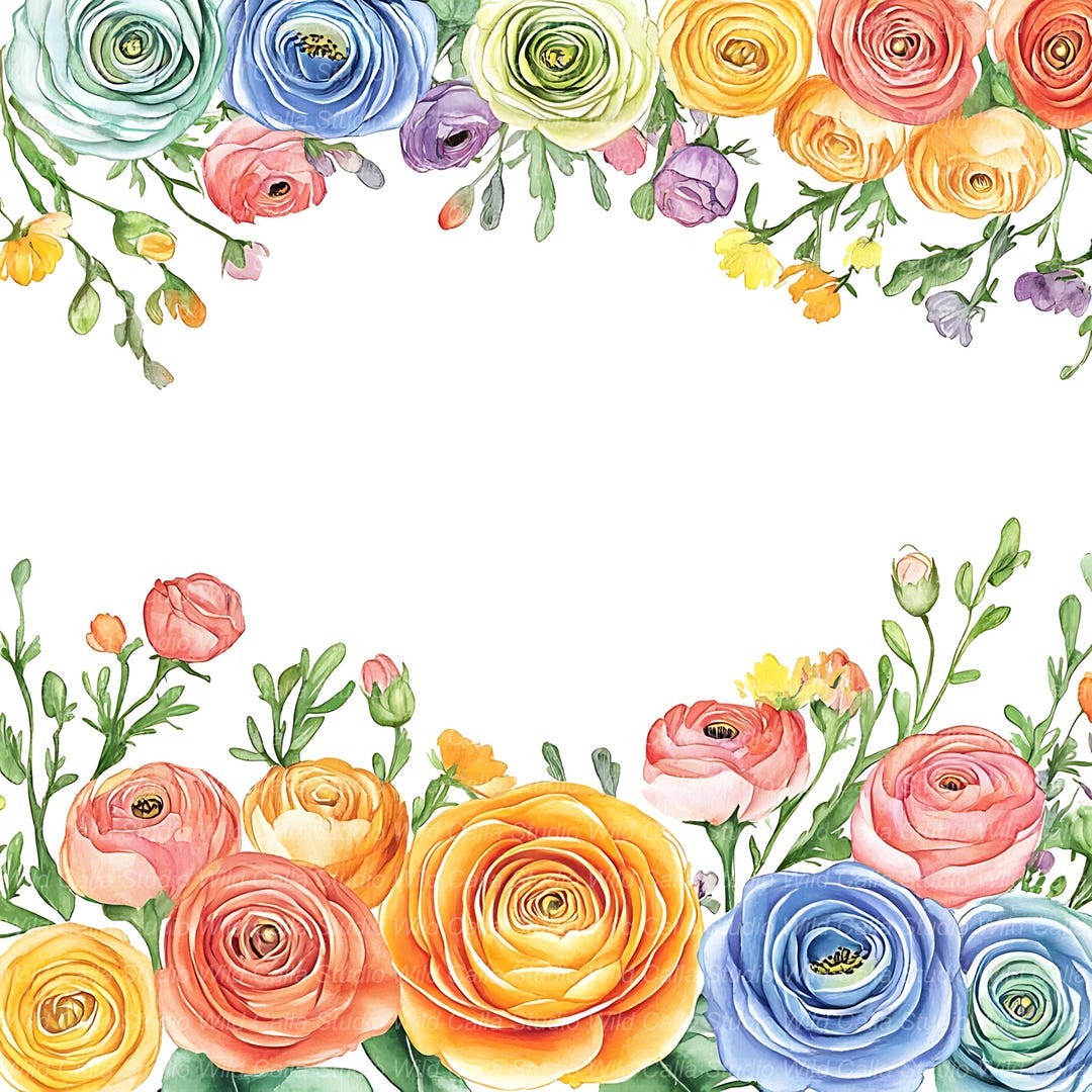 Spring Ranunculus Clipart Set - Pastel Wildflower Borders - Etsy