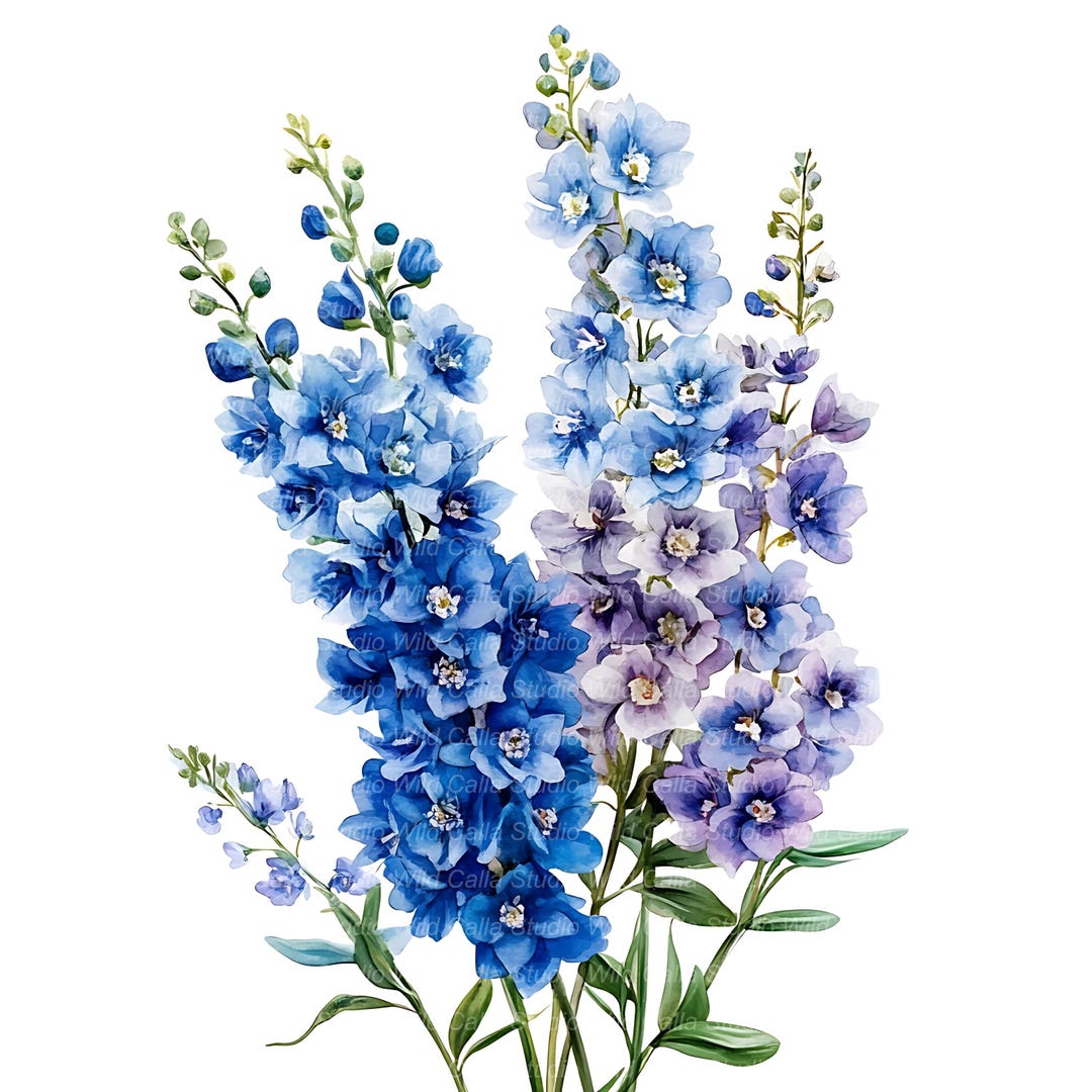 Floral Delphinium Clipart - Watercolor Bouquet Digital Download - Etsy