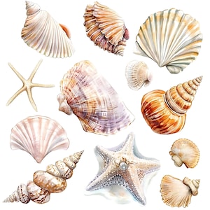 May include: Watercolor illustration of various seashells and starfish. The image features a collection of detailed, hand-painted shells in shades of white, brown, and beige. A starfish with a pearl is also included. The shells vary in size and shape, creating a diverse marine theme.