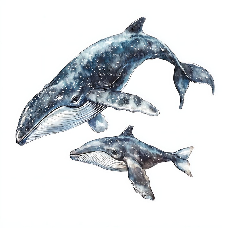 Whale Clipart Set: 14 Mom and Baby Designs - Watercolor Nursery Art - Etsy
