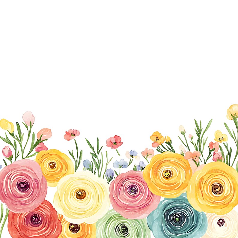 Spring Ranunculus Clipart Set - Pastel Wildflower Borders - Etsy