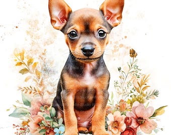 Zwergpinscher Welpe Clipart, Blumen Aquarell (13 JPG Bilder)