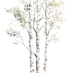 Watercolor Birch Trees Clipart, Woodland Forest Art (16 JPG Files)