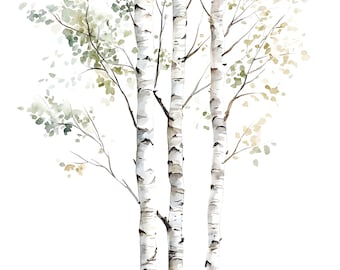 Clipart de bétulas em aquarela, arte de floresta (16 arquivos JPG)
