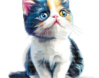 Quirky Exotic Shorthair Cat Clipart, Whimsical Cartoon Kitten (13 JPGs)