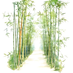 Può includere: Dipinto ad acquerello di una foresta di bambù con un sentiero che conduce a un'apertura luminosa. I fusti di bambù sono verdi e marroni, con delicate foglie verdi. Il sentiero è beige chiaro.