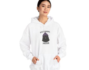 Baltimore Pride Raven Hoodie
