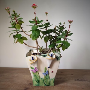 Könnte beinhalten: Eine Topfpflanze mit grünen Blättern und rosa Blüten in einer dekorativen Keramikvase. Die Vase ist cremefarben mit bemalten Calla-Lilien, Schmetterlingen und grünem Laub. Die Pflanze steht auf einer Holzoberfläche.