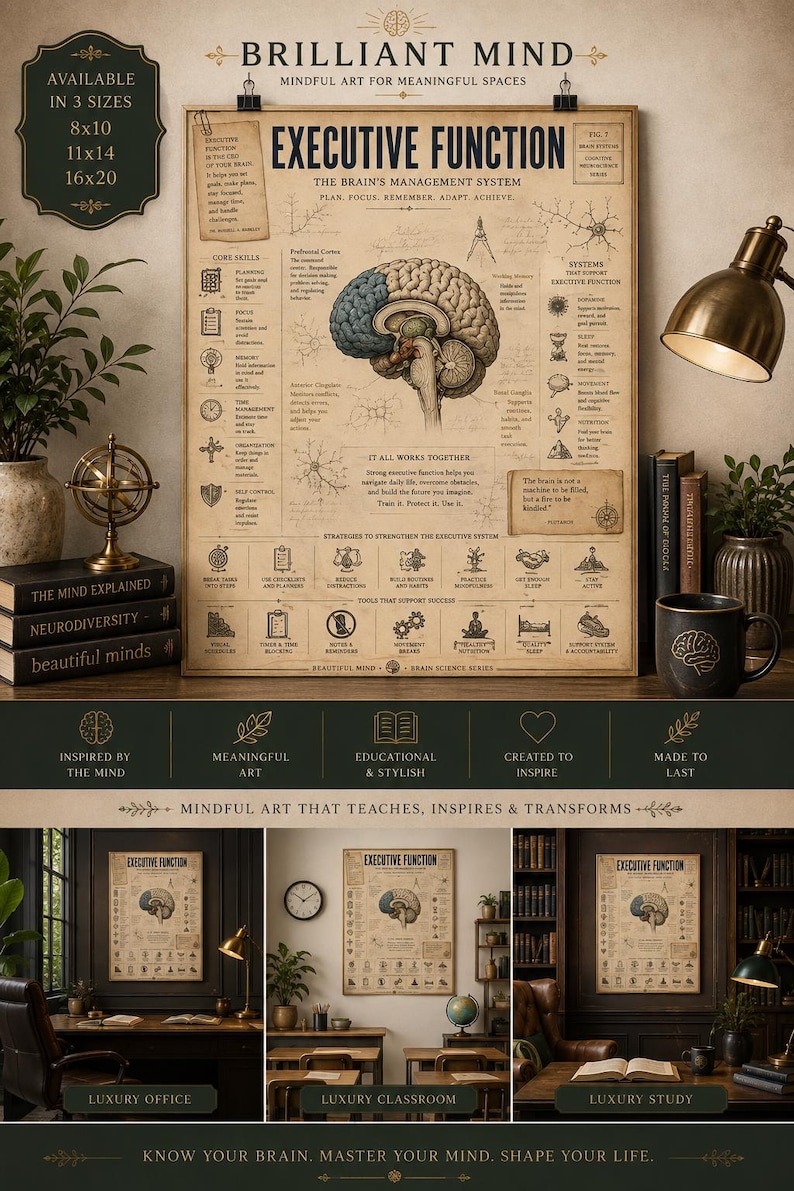 May include: A beige educational poster titled Executive Function, The Brain's Management System, featuring a detailed anatomical illustration of a human brain, various diagrams, and text explaining core skills, systems, and strategies for success.