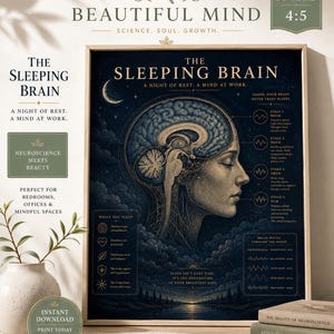 Könnte beinhalten: Ein gerahmtes Lehrplakat mit dem Titel The Sleeping Brain, das ein detailliertes anatomisches Profil eines menschlichen Kopfes und Gehirns vor einem dunkelblauen Sternenhimmel zeigt. Das Bild enthält Text zu Schlafphasen und Gehirnwellen.
