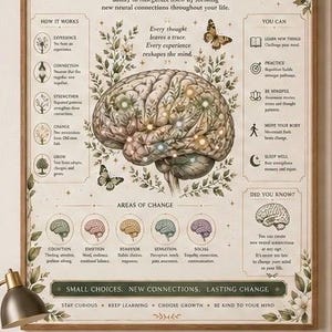Könnte beinhalten: Ein gerahmtes Lehrplakat mit dem Titel NEUROPLASTICITY, das eine zentrale Abbildung eines menschlichen Gehirns zeigt, umgeben von botanischen Elementen und Schmetterlingen. Der Text erklärt die Funktionsweise des Gehirns, einschließlich Abschnitten zu Mechanismen, Veränderungsbereichen und Wachstumstipps auf cremefarbenem Hintergrund.