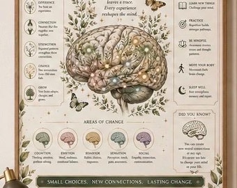 Neuroplasticity Poster Brain Science Wall Art Psychology Print Growth Mindset Neuroscience Decor Educational Anatomy Poster
