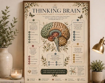 The Thinking Brain Poster Brain Anatomy Wall Art Psychology Print Neuroscience Decor Educational Science Poster