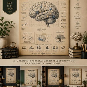 May include: A beige educational poster titled NEUROPLASTICITY featuring a central anatomical brain illustration, diagrams of neural pathways, and text explaining brain growth. The poster includes sections on how the brain changes, benefits, and tips for an adaptable brain, with a vintage aesthetic.