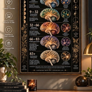 May include: A vertical educational poster titled The Five Epochs of the Human Brain, featuring five anatomical brain illustrations with glowing neural networks, color-coded by age ranges from 0-9 to 83+, with descriptive text and floral borders.