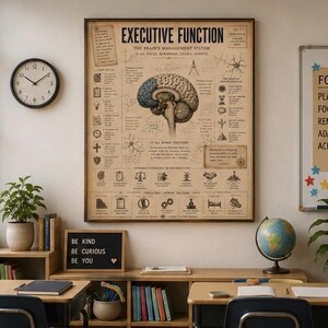 May include: A framed educational poster titled Executive Function featuring a detailed anatomical illustration of a human brain, surrounded by various icons, diagrams, and text explaining cognitive processes, displayed on a light-colored wall.
