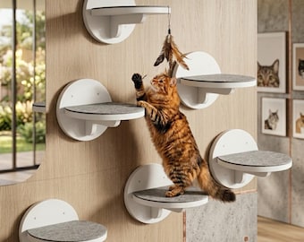 Set di mensole da parete in legno per gatti: gradini per arrampicarsi con area giochi per graffiare.