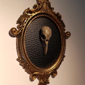 Fågelskalleram Guld | Memento Mori Nyfikenhet Skåpdekor | Gotiska Kuriositeter Mörk Academia Gåva