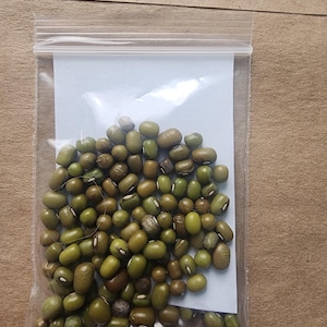 May include: A clear plastic bag filled with a collection of green mung beans. The beans vary in shades of green and brown. The bag is sealed and sits on a brown surface.