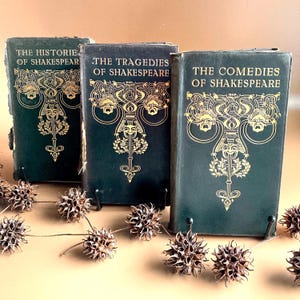 Shakespeare Book Set Leatherbound Books Antique Vintage Literature Collection Ornate Binding Historical Manuscript Treasure Gift Men Library