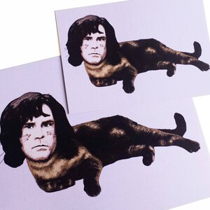 Pawzz Michael Michaels - Færrell Cat Print Series