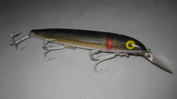cisco kid lure