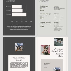 May include: A promotional graphic with the title "Show Statistics" and a bar graph showing downloads, subscribers, and followers. The graphic also includes sponsorship packages and a list of previous brands worked with.