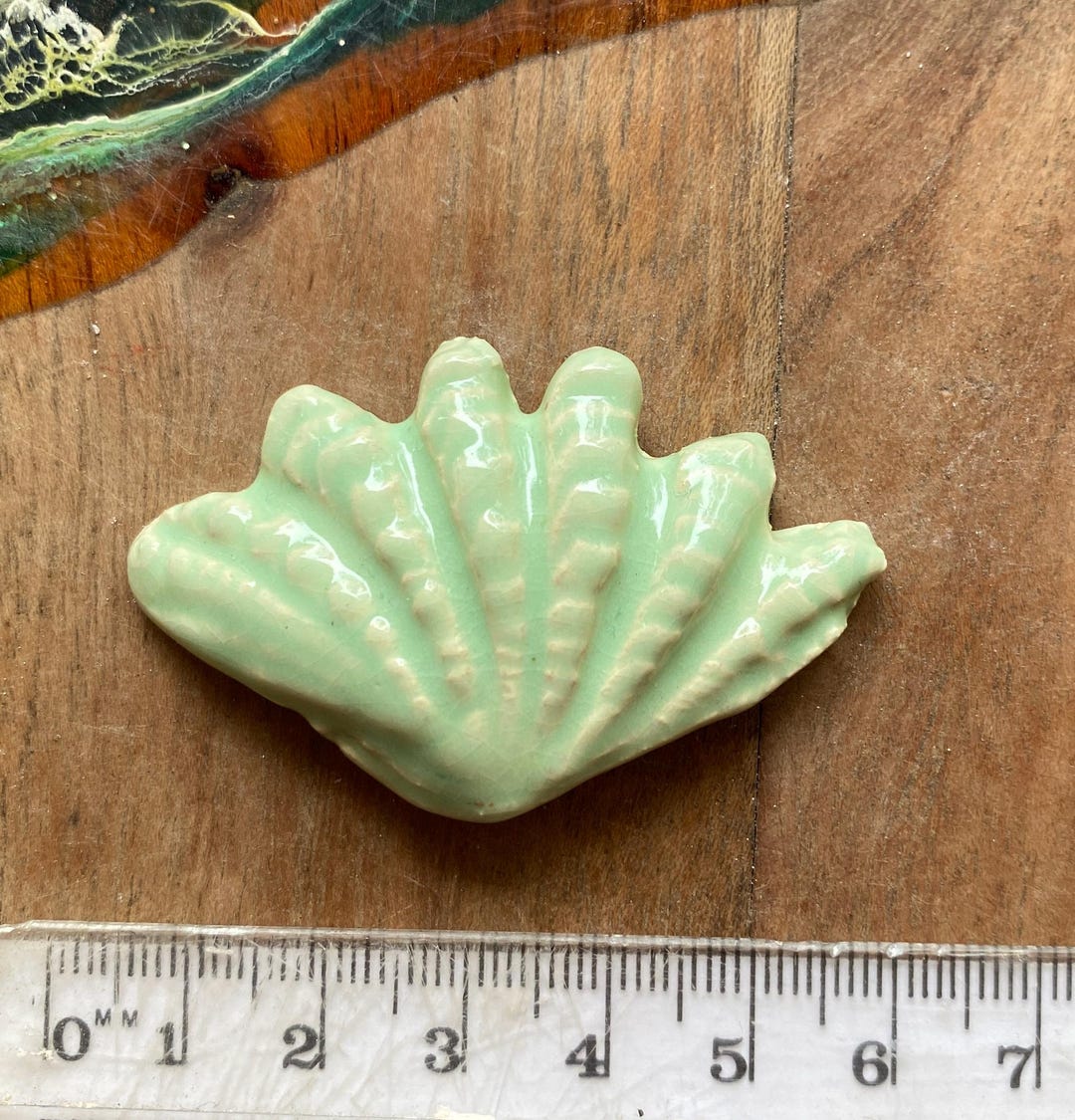Ceramic Shell, in Pale Mint - Etsy