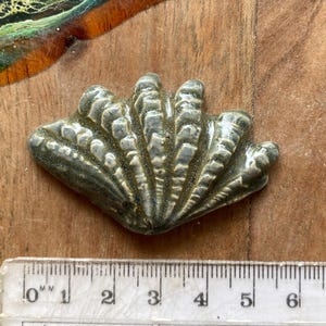 Ceramic Shell, in Green Grey