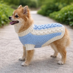 Puede incluir: Un perro pequeño con un suéter de punto trenzado azul y crema. El suéter tiene un cuerpo azul claro con detalles crema alrededor del cuello, las mangas y la parte superior de la espalda. El perro está de pie en un camino pavimentado.
