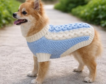 May include: A small dog wearing a blue and cream-colored cable knit sweater. The sweater has a light blue body with cream-colored accents around the neck, sleeves, and upper back. The dog is standing on a paved path.