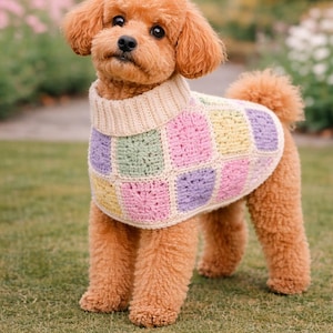 May include: A small, brown dog wearing a handmade sweater. The sweater is a patchwork design with squares of pastel colors: pink, yellow, green, and purple. The dog is standing on green grass.