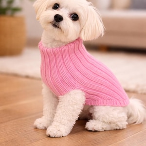 Puede incluir: Un perro pequeño y blanco que lleva un suéter rosa de punto acanalado. El perro está sentado en un suelo de madera, mirando hacia la cámara. El fondo está borroso, con un toque de planta y una alfombra.