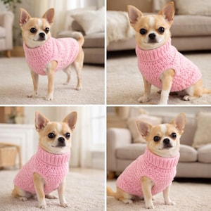 May include: A small, light-colored Chihuahua dog wearing a pink, knitted turtleneck sweater. The dog is in a well-lit indoor setting, with a neutral background. The sweater appears to be handmade and fits the dog snugly.