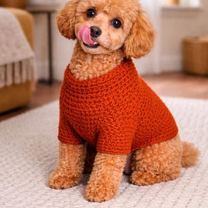 5 Dog Sweater Crochet Patterns PDF | Custom Fit Dog Clothes | Easy DIY Dog Hoodie, Basic & Multi-Style Patterns