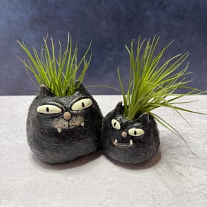 May include: Two black ceramic planters shaped like cats with wide eyes, small noses, and visible fangs. Each planter holds a cluster of thin, spiky green air plants. The cat figures have a textured, dark finish and rounded bodies.