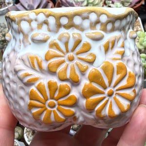 May include: A small ceramic planter featuring a textured, dimpled surface in a pale pink hue. The exterior is decorated with three raised, mustard-yellow flowers and green leaves, accented by a white drip glaze along the scalloped upper rim.