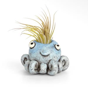 May include: A light blue ceramic planter shaped like an octopus with a textured, mottled finish. The creature has two large white eyes with black pupils and curled tentacles at the base. A spiky, light green air plant sits in the top opening.