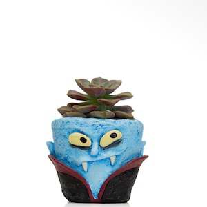 May include: A light blue vampire-themed planter pot featuring yellow eyes, a pointed nose, and white fangs, wearing a black cape with a red collar. A small, dark green succulent plant with layered, fleshy leaves is planted inside the container.