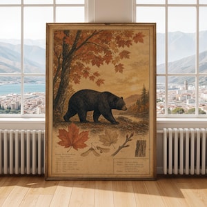 May include: A rectangular wall art print featuring a black bear walking through a forest landscape with autumn foliage. Below the bear, the print displays botanical illustrations of a maple leaf, seeds, a twig, and bark, with the text Acer saccharum.