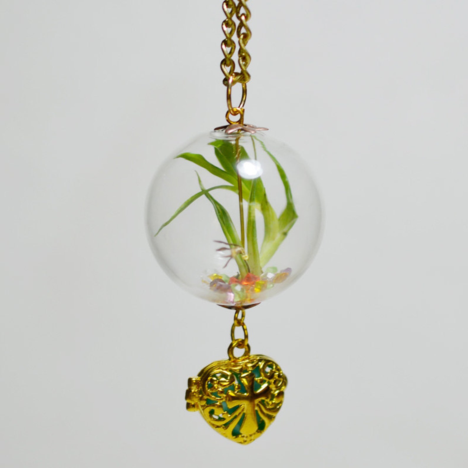 10PCS Clear Glass Globe Bottlesglass Domes Glass Bubbles Etsy