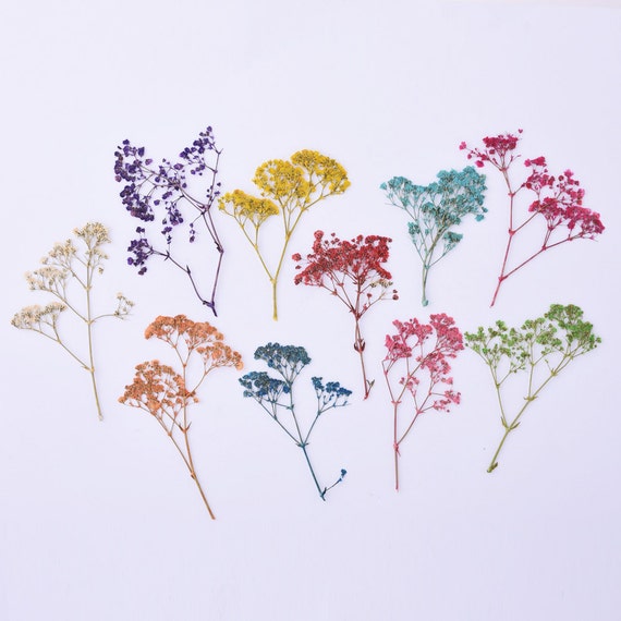 1 Packung Natürliche Getrocknete Blumen handgefertigt Handwerk DIY Schmuck machen Mixd farbe 10098049
