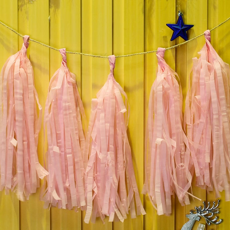 Paper Tassel Tissue Paper Tassel Garland Birthday Banner Party Etsy