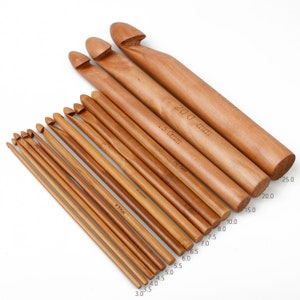 1 set(15 pcs) Wood Crochet Beginner Delicate Crochet Hook Set For Handwork 10315850