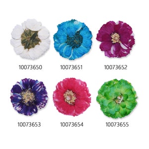 12 pcs Fleurs pressées séchées teintes Mini fleurs fleurs pressées art 100736