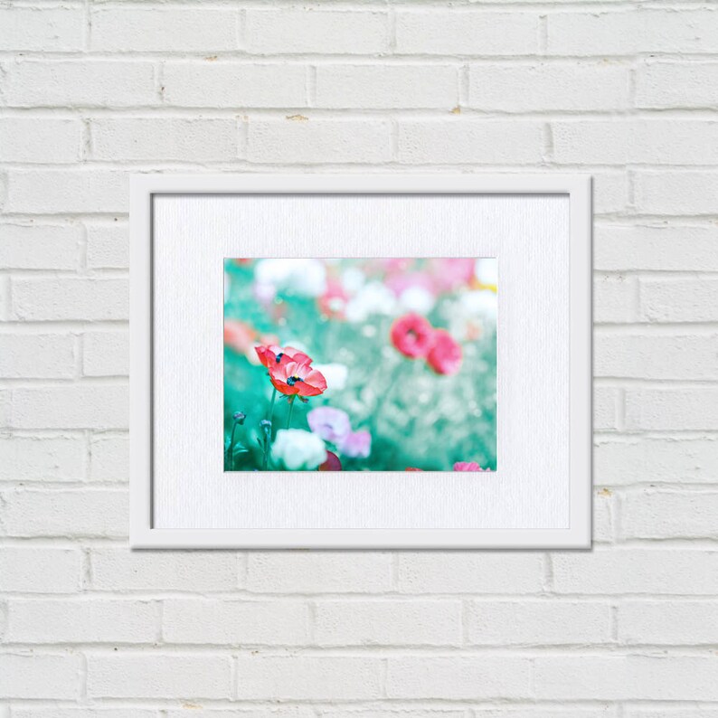 Flower Photography Spring Botanical Print 8x10 8x12 Fine Art - Etsy
