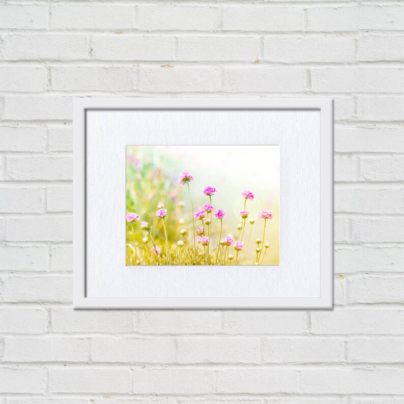 Botanical Art Print Nature Wall Art Nature Photography 8x10 Etsy