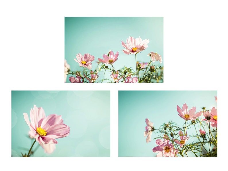 flower photography floral botanical print set of 3 8x10 11x14 fine art photography nature pink photography nursery decor bedroom aqua mint