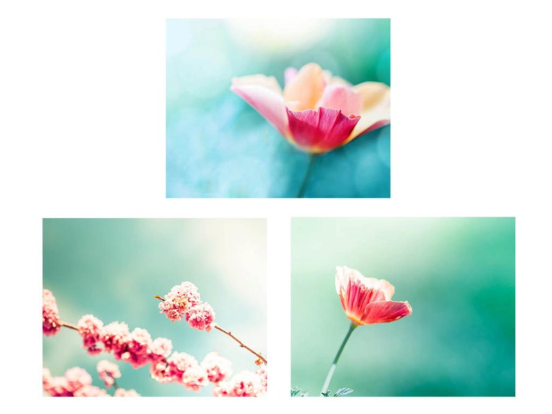 Botanical Print Set Photography Set of 4 Floral Print Blossom Etsy